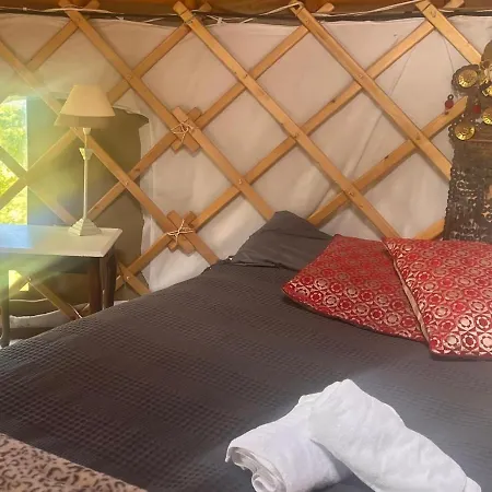 Adorable Yurt Glamping Glamping