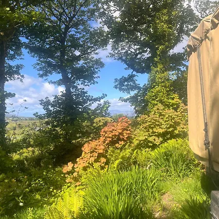 Adorable Yurt Glamping Glamping *