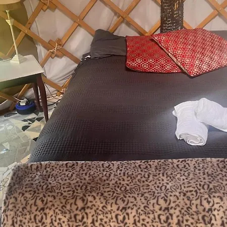 Glamping Adorable Yurt Glamping Bantry