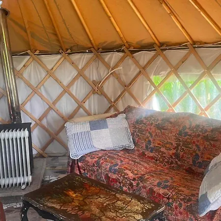 Adorable Yurt Glamping Glamping *